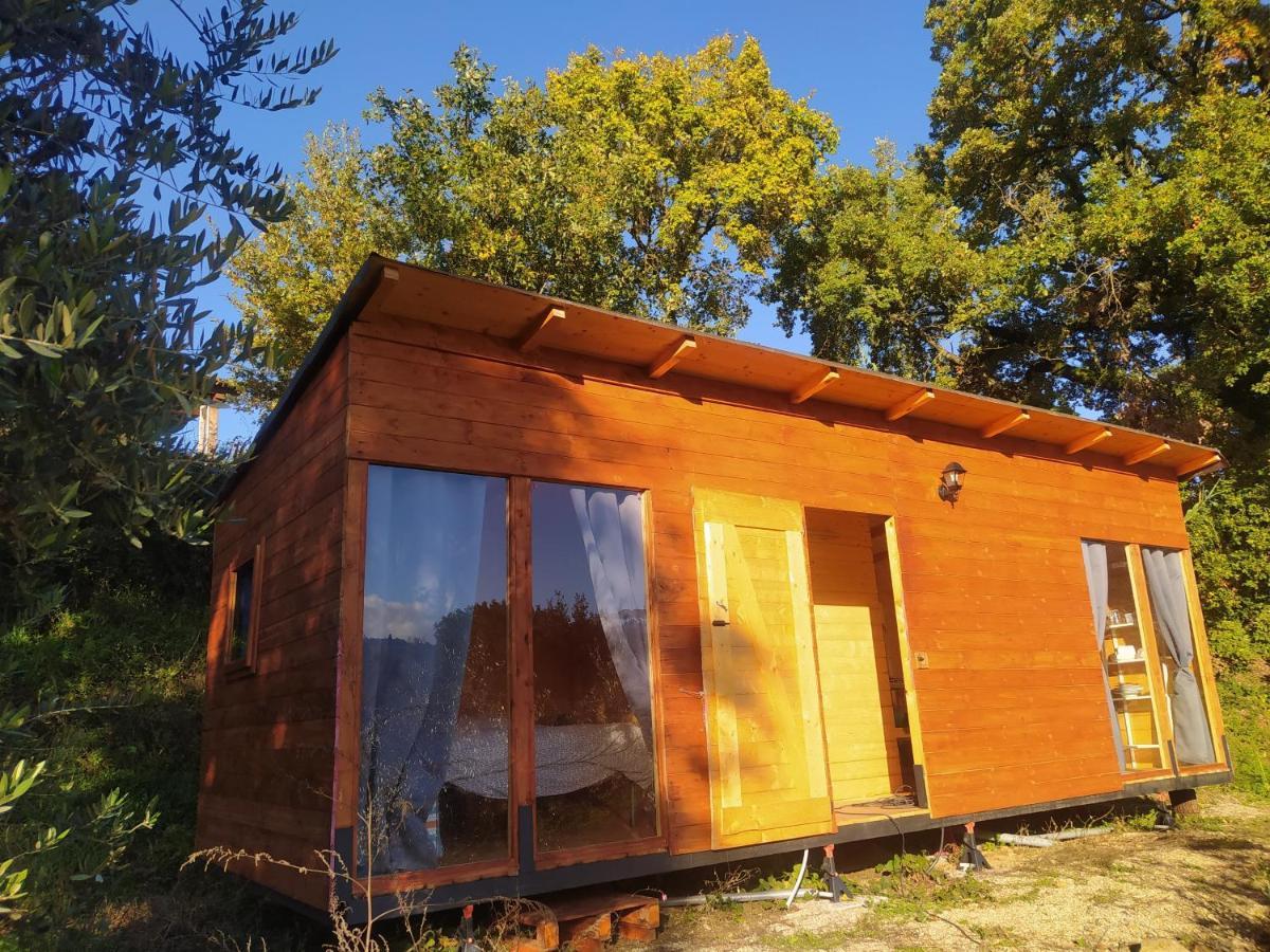 Agricampeggio La Casa Di Nicla Camping